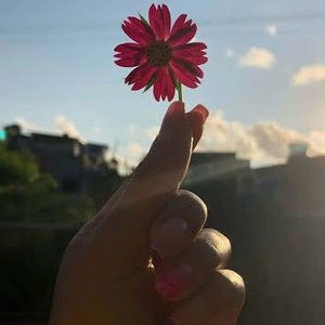 Meet your Posher, Hira